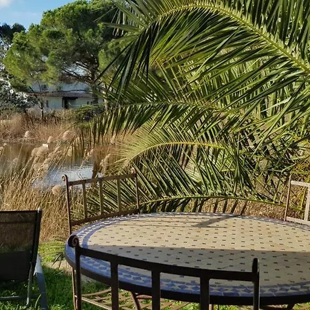 Le Mas des Sagnes Les Les Saintes-Maries-de-la-Mer Extérieur photo